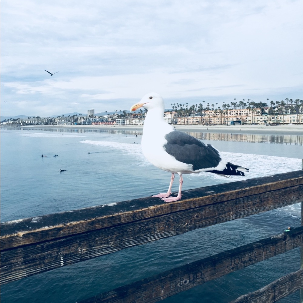 Meet your Posher, Mica